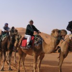 On a camel trek in the Saraha