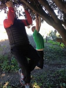 tree pullups on the far side (you had to "figure out where to do" the moves - extra points for creativity)