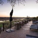 day-11-elephants-in-the-street-empire-lessons-and-arrival-at-bucklers