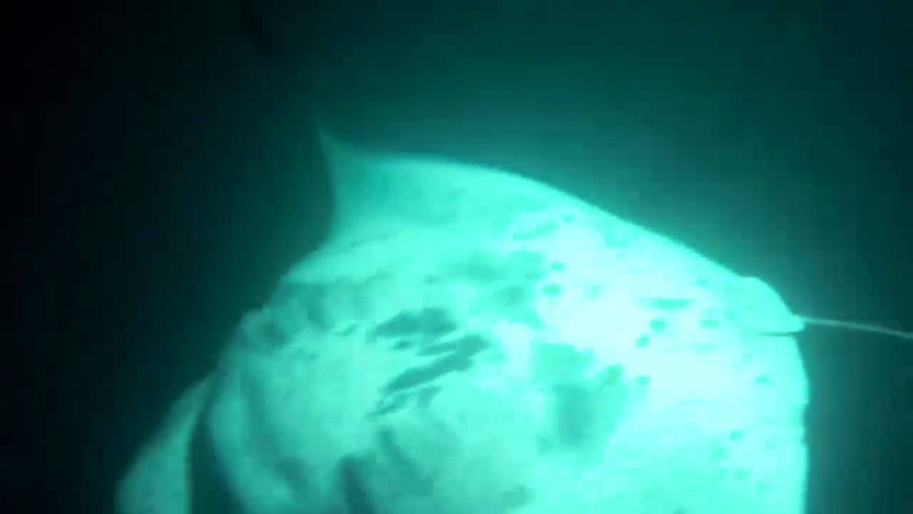 youtube placeholder image